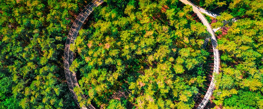 Building Bridges battles sustainable finance headwinds